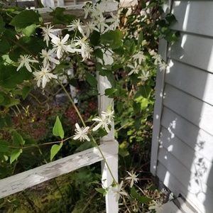 Meet your Posher, Trong